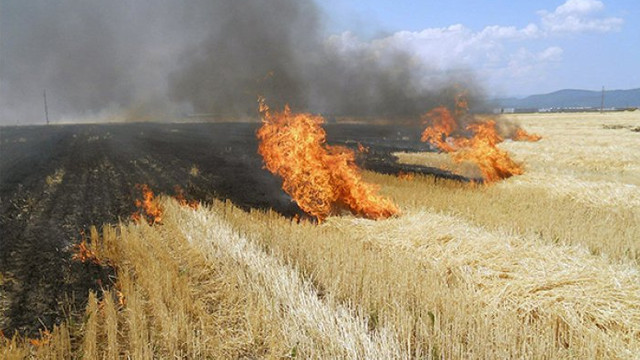 Codul galben de pericol de incendiu a fost extins până la 19 iunie