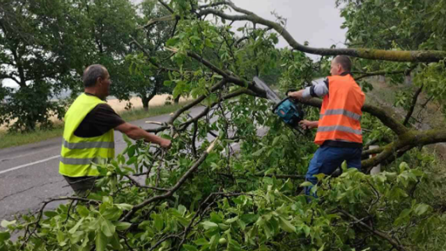 Drumarii au intervenit pentru a elimina consecințele ploilor puternice din Ceadîr-Lunga