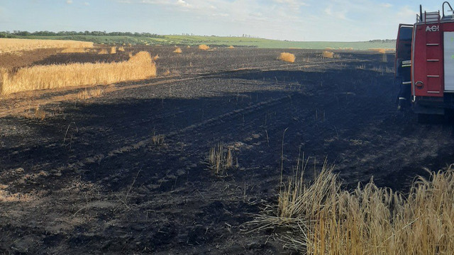 Peste 20 hectare de orz și 30 hectare de grâu au fost nimicite de flăcări în urma unui incendiu de vegetație