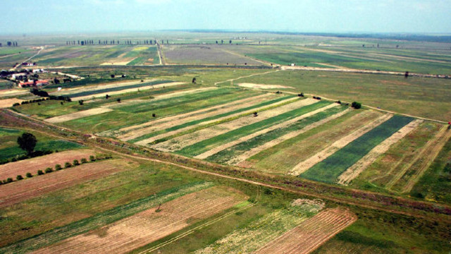 Circa 250 de mii de hectare de terenuri agricole, lăsate în paragină 