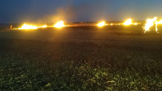 Mai multe hectare de culturi agricole au fost nimicite de flăcări în ultimele 24 de ore