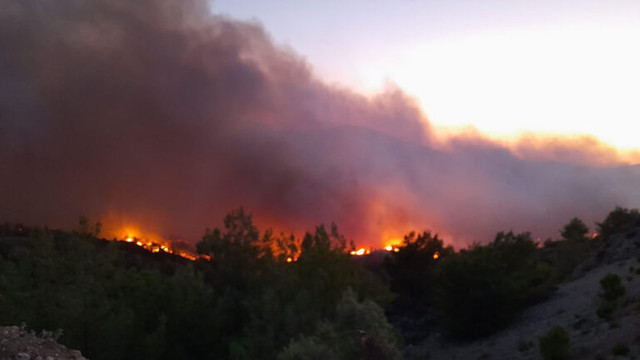 Spania în alertă după ce incendiile de vegetație au mistuit peste 1.000 de hectare de teren în weekend