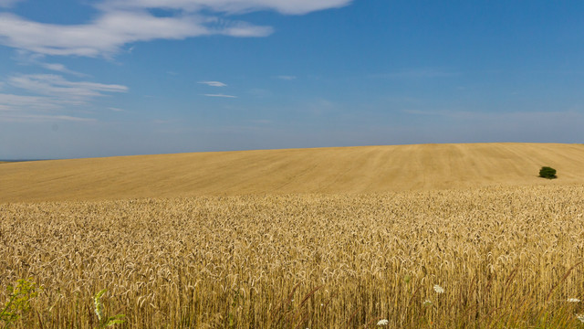 Lituania propune utilizarea capacităților statelor baltice pentru a sprijini exporturile de cereale ucrainene