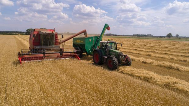 Noi presiuni asupra fermierilor din Dubăsari. Chișinăul cere Tiraspolului asigurarea accesului neîngrădit la terenurile agricole amplasate după traseul Tiraspol-Camenca