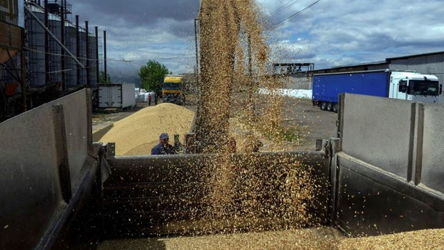 Opinii / Rusia blochează exporturile de cereale ca să lase Ucraina fără oxigen economic