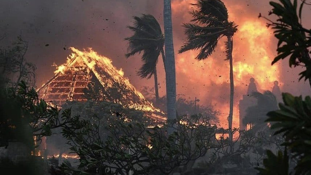 Cel puțin 36 de morți în Hawaii din cauza incendiilor de vegetație catastrofale