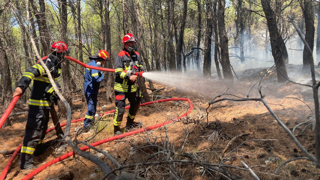 Mecanismul de protecție civilă al UE: România trimite peste 50 de pompieri și 10 autospeciale în Grecia pentru a ajuta la stingerea incendiilor