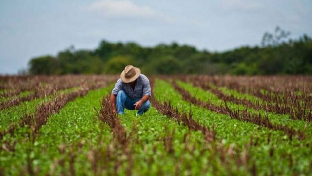 Japonia acordă 1,9 mln euro pentru asigurarea fermierilor cu fertilizanți

