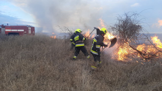 Incendiu de vegetație la Stăuceni. Patru echipe de pompieri și salvatori luptă cu flăcările