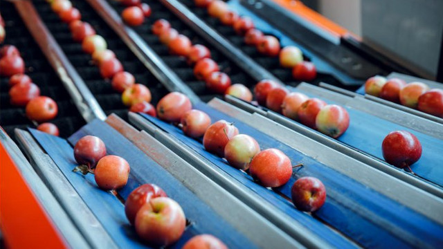 Producătorii de mere examinează noi strategii de export al recoltei din 2023