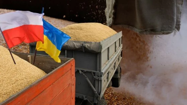 Ucraina și Polonia au convenit să găsească un compromis în problema exporturilor de cereale