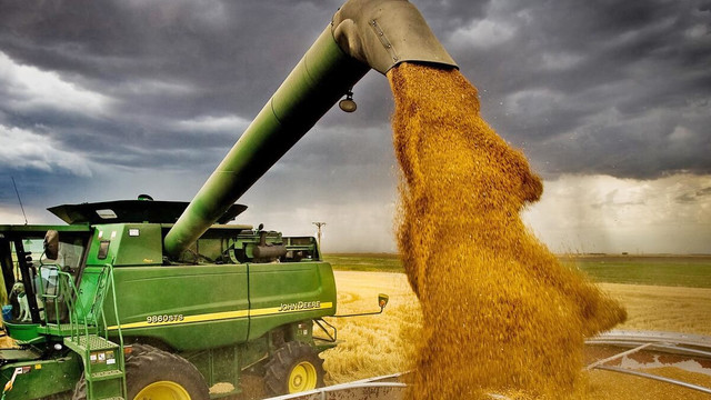 România e cel mai mare exportator de grâu din UE, cu vânzări mai mari decât anul trecut