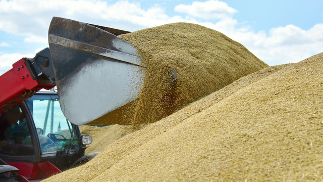 A fost elaborat Regulamentul privind comisia de licențiere a importului de cereale din Ucraina