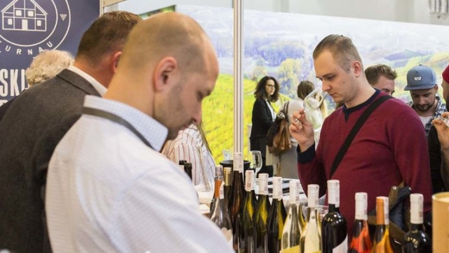 14 producători din Republica Moldova vor participa la un Târg Internațional de Vinuri din Polonia