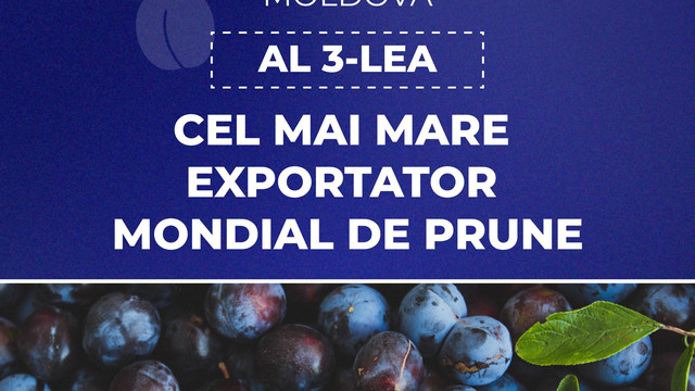 R. Moldova: al 3-lea cel mai mare exportator mondial de prune, primul loc în Europa