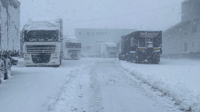 Restricții de circulație pentru camioane la intrarea în România pe la Punctul de Frontieră Leușeni-Albița