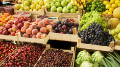 Exportul de fructe pe piața UE, în plină ascensiune