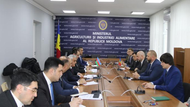 Cooperarea moldo-azeră pe segmentul agricol, discutată de conducerea MAIA cu o delegație din Azerbaidjan