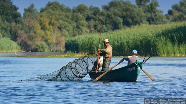Republica Moldova și România au făcut schimb de experiență în domeniul pescuitului și acvaculturii
