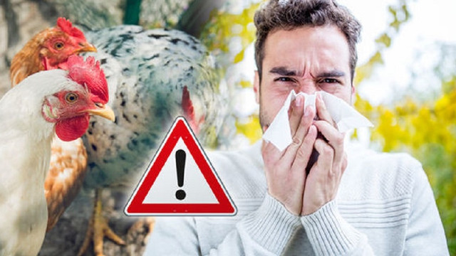 Agenția Națională pentru Sănătate Publică reiterează măsurile de sănătate publică pentru protecția împotriva gripei aviare