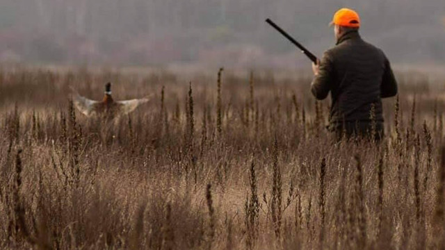 Interzis la vânătoarea de păsări de-a lungul frontierei din est a Republicii Moldova