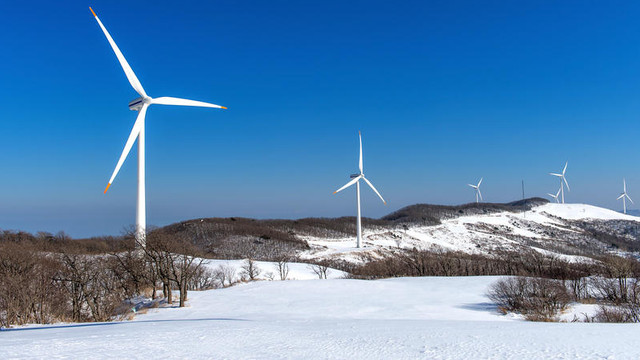 România a exportat ieri aproape 1.000 de MW de electricitate către R. Moldova și Ucraina, în contextul unei producții uriașe de energie eoliană