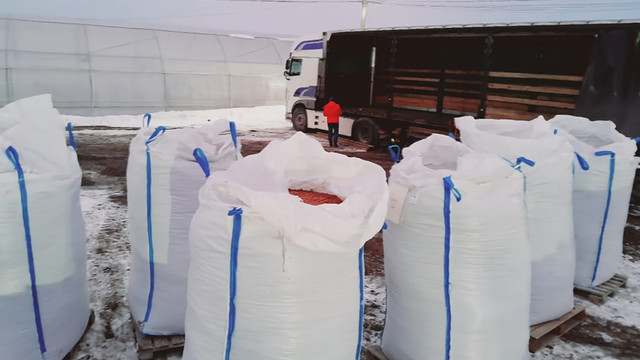 Primul lot de alune crescute în Republica Moldova a fost exportat în Italia