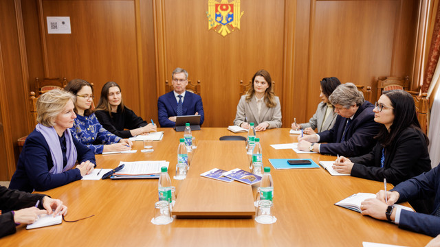Secretarul de stat Cristina Gherasimov, întrevedere cu reprezentanții Comisiei Europene. Necesitățile de asistență, printre subiectele abordate
