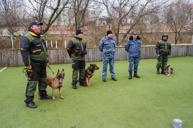 FOTO | Școlirea echipelor canine în cadrul Poliției de Frontieră