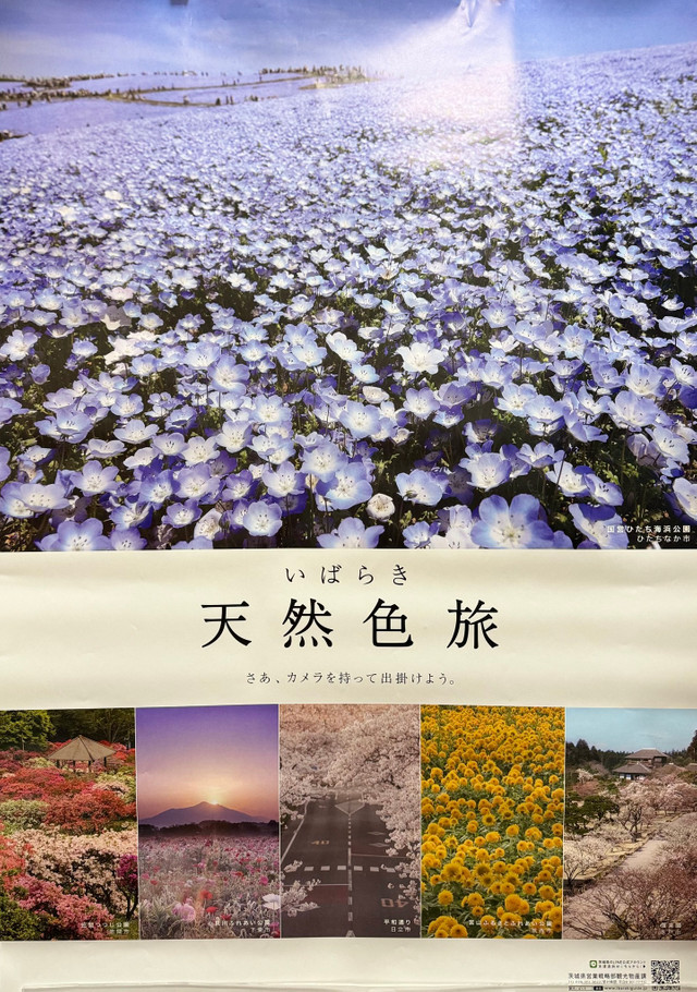 Prefecturile Japoniei pot fi descoperite la o expoziție de afișe inaugurată la Muzeul Național de Artă