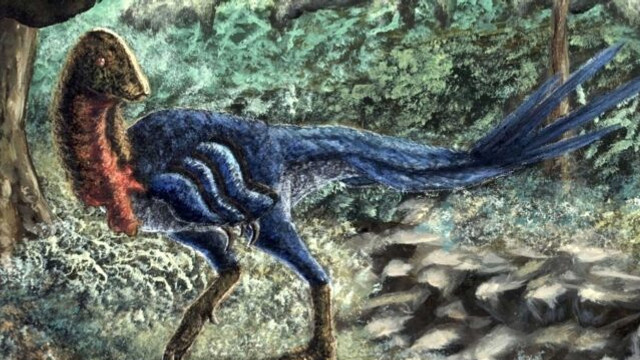 O nouă specie de dinozauri a fost descoperită de un student al Universității din Oklahoma, Statele Unite