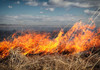 IGSU avertizează populația despre riscul izbucnirii incendiilor de vegetație în condiții de vânt puternic