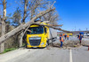 Copaci doborâți și mașini avariate. Vântul puternic face ravagii azi pe întreg teritoriul Republicii Moldova