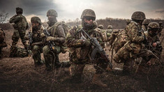 Dreptul internațional îi permite unei țări NATO să trimită trupe în Ucraina, susțin experții parlamentari germani