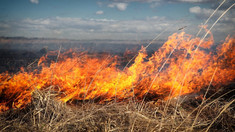 IGSU avertizează populația despre riscul izbucnirii incendiilor de vegetație în condiții de vânt puternic
