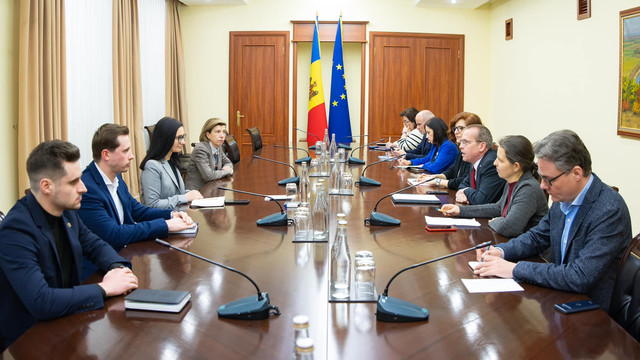 Cristina Gherasimov, întrevedere cu reprezentanții ONU care vor oferi asistență la etapa de preaderare a Republicii Moldova la UE