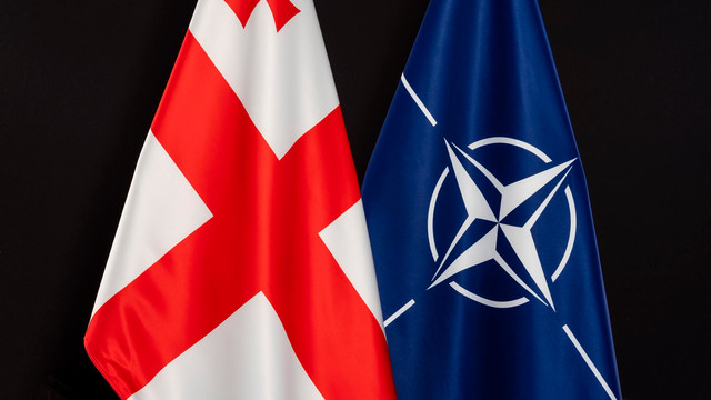 Secretarul general al NATO cere Georgiei reforme democratice în vederea aderării la alianță