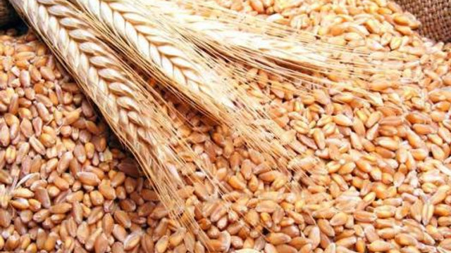 Agenția Rezerve Materiale reînnoiește stocuri de aproape 23 de mii de tone de grâu din rezervele de stat