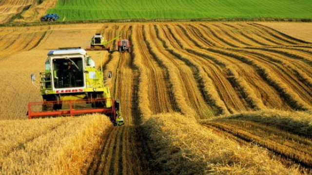 Fondul Internațional pentru Dezvoltare Agricolă a investit circa 23 mln de dolari în agricultura Republicii Moldova