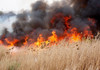 Amenzi mai dure și 200 de ore de muncă neremunerată pentru arderea vegetației uscate
