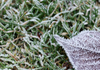 Meteorologii au emis Cod Galben de îngheț pentru ziua de mâine