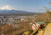 Un oraș japonez va bloca o priveliște spre Muntele Fuji pentru a evita supraturismul
