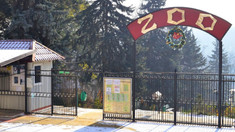 Grădina Zoologică din Chișinău trece la programul de vară
