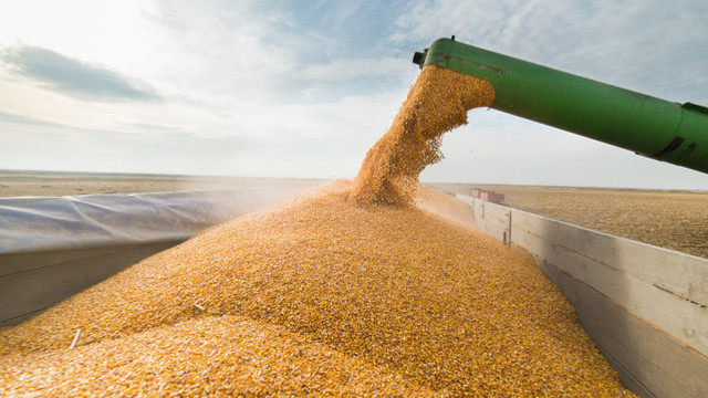 România, pe locul trei în topul țărilor destinatare ale exporturilor ucrainene de cereale, în 2023