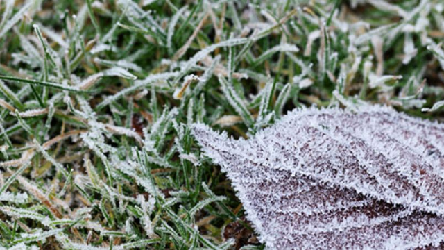 Meteorologii au emis Cod Galben de îngheț pentru ziua de mâine