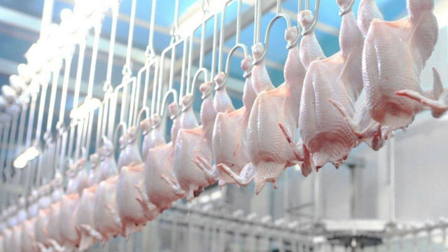 R.Moldova a obținut dreptul de a exporta carne de pasăre și ouă în UE
