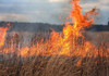 Peste 100 hectare de vegetație uscată au fost mistuite de flăcări în ultimele trei zile