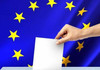 Cum pot vota la alegerile europarlamentare românii din străinătate. Ghidul alegătorului