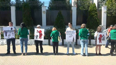LIVE | Flashmob în fața Ambasadei Rusiei din Chișinău cu sloganul „Uniți pentru libertatea presei. Adevărul nu poate fi suprimat!”