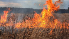 Peste 100 hectare de vegetație uscată au fost mistuite de flăcări în ultimele trei zile